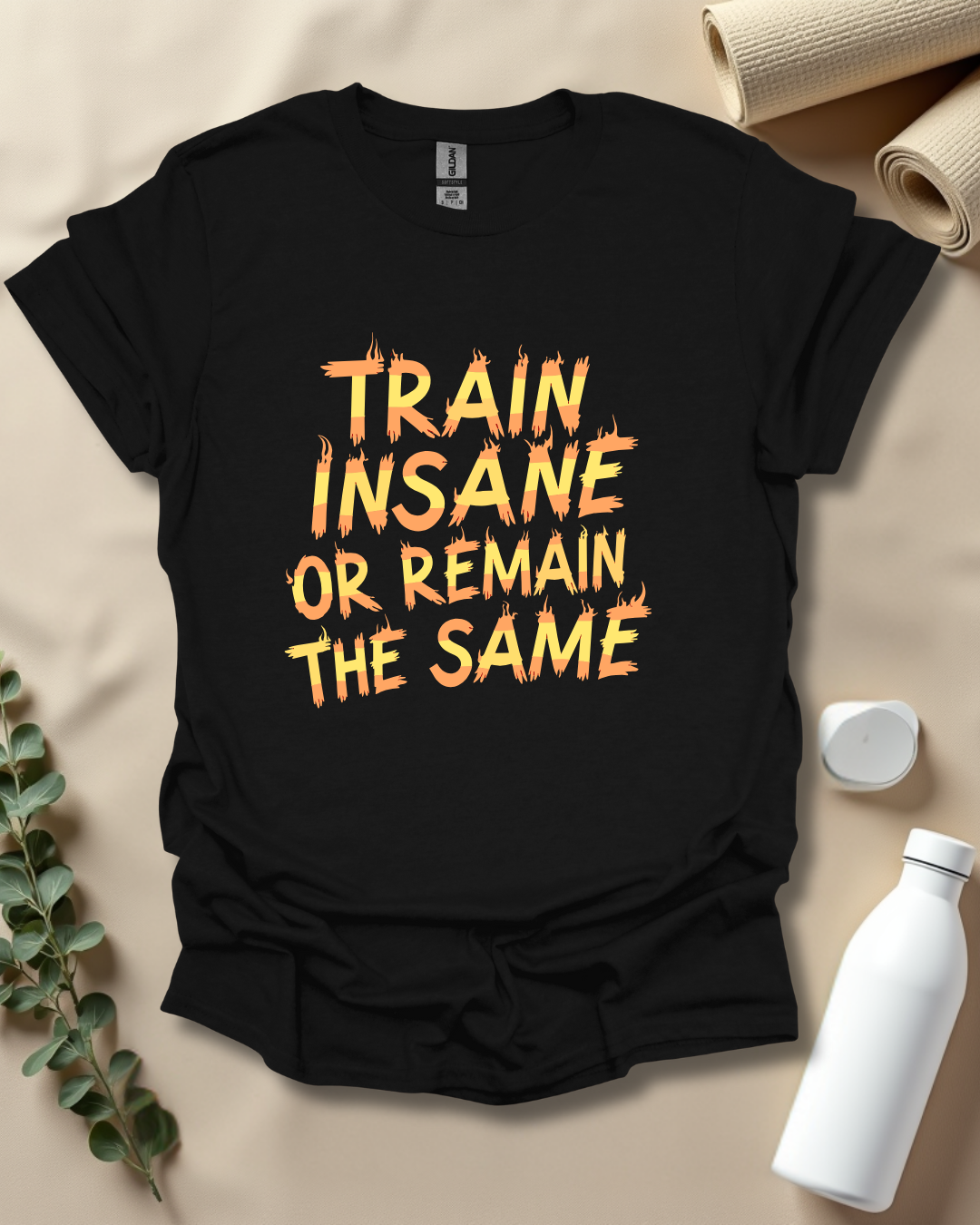 TRAIN INSANE OR REMAIN THE SAME T-Shirt