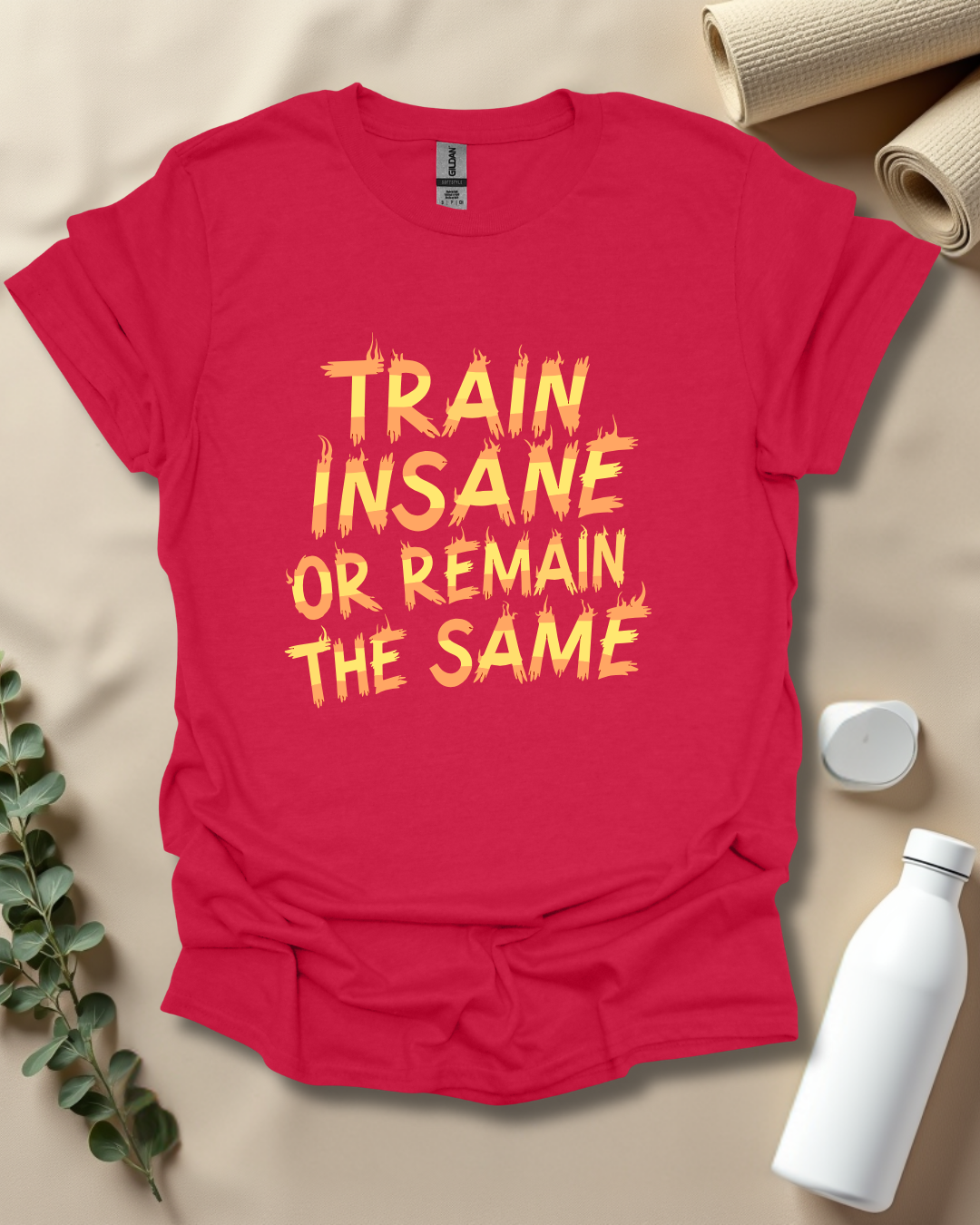 TRAIN INSANE OR REMAIN THE SAME T-Shirt