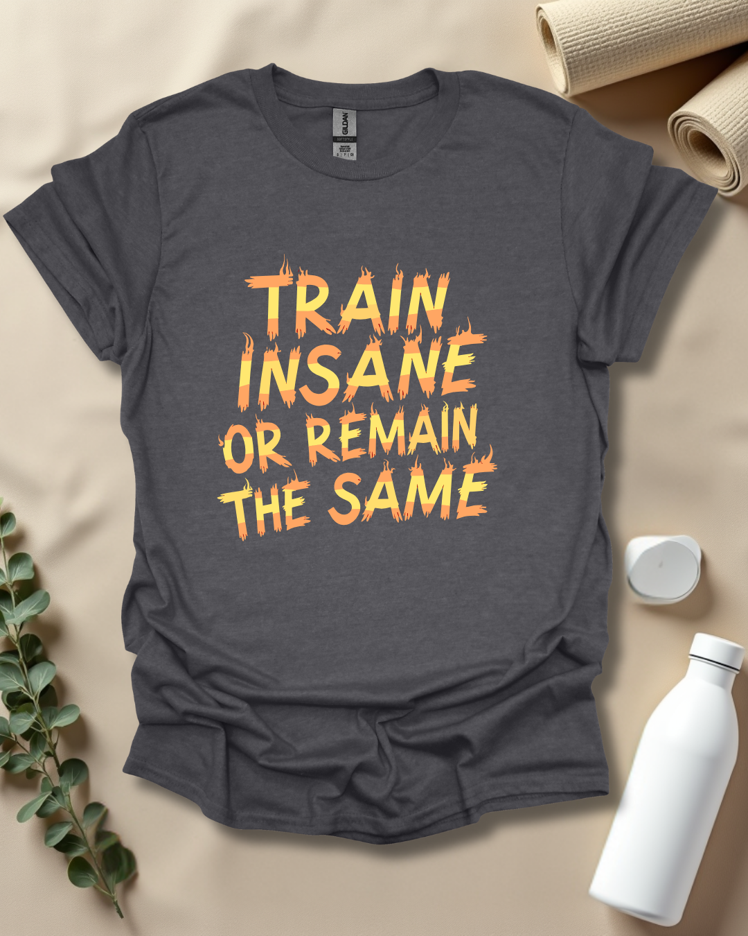 TRAIN INSANE OR REMAIN THE SAME T-Shirt