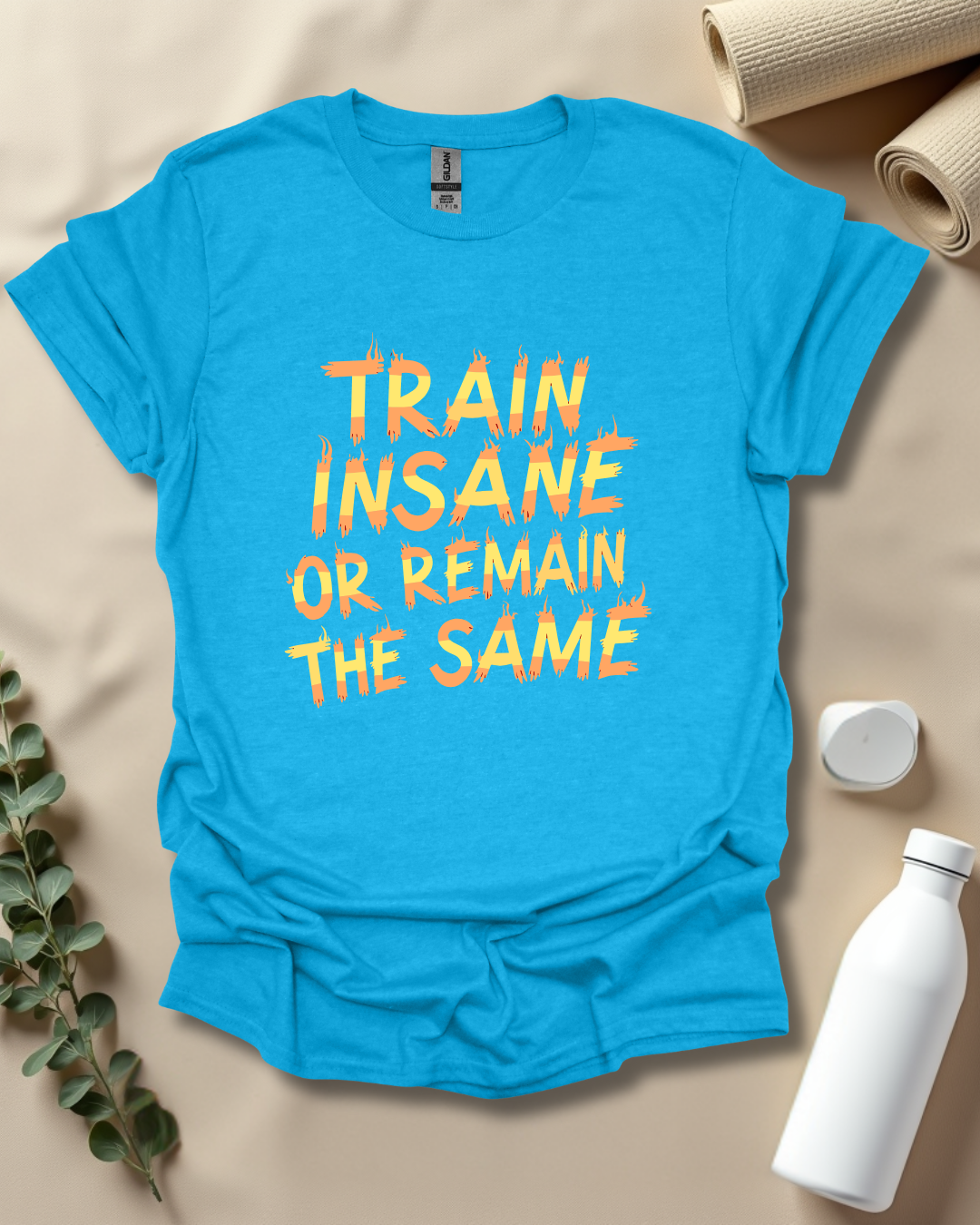 TRAIN INSANE OR REMAIN THE SAME T-Shirt