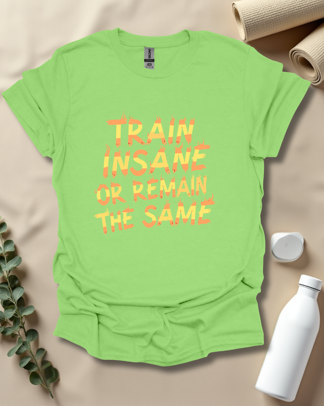 TRAIN INSANE OR REMAIN THE SAME T-Shirt