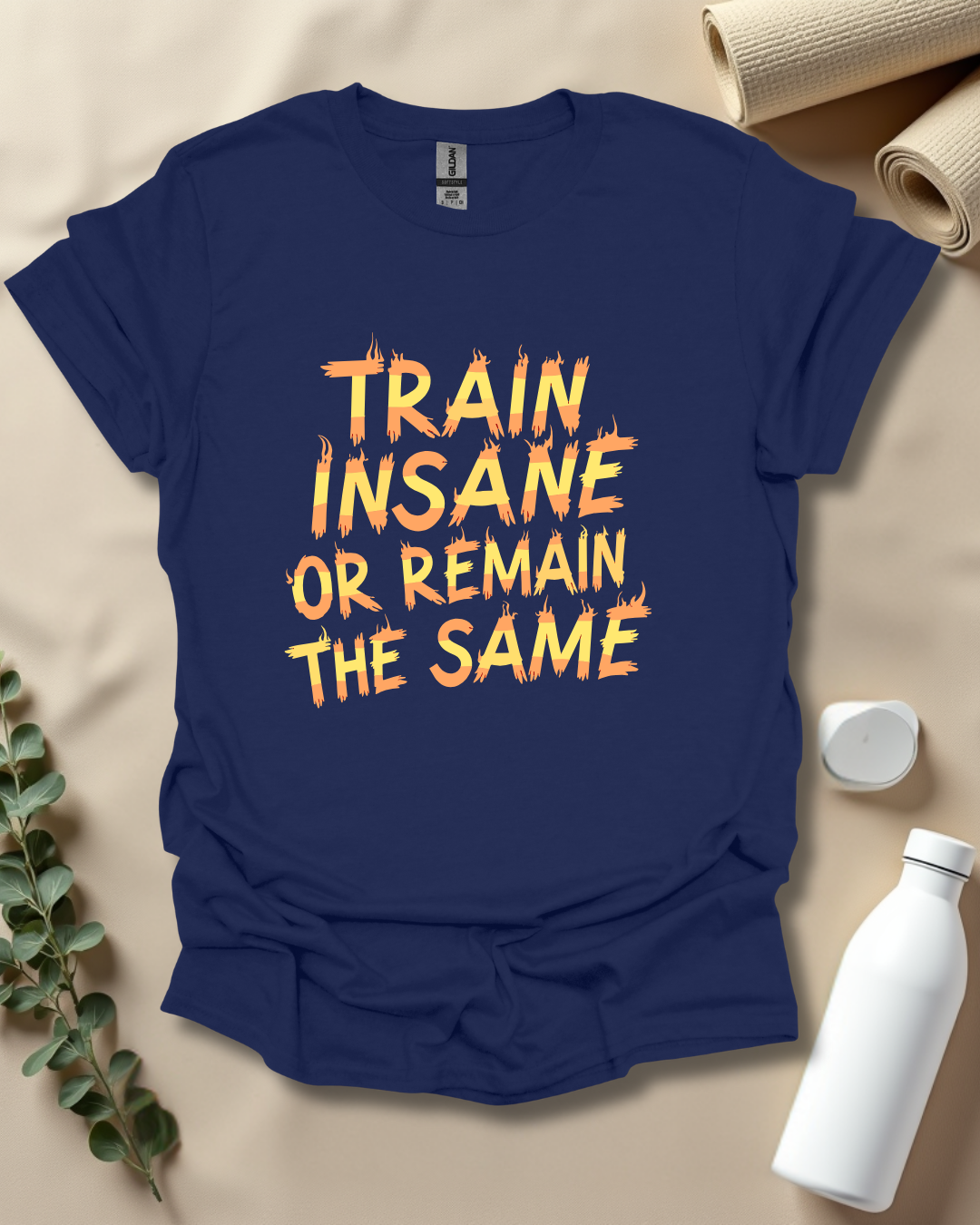 TRAIN INSANE OR REMAIN THE SAME T-Shirt