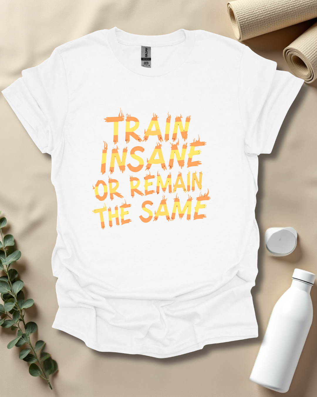 TRAIN INSANE OR REMAIN THE SAME T-Shirt